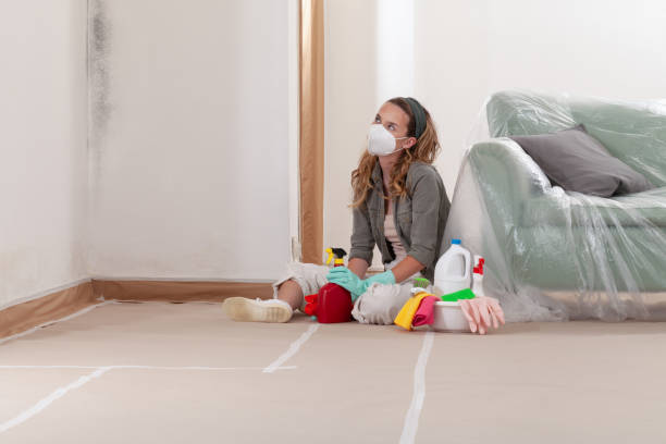 Reliable Black Mold Removal contractor in Largo, MD by WQB Mold Removal
